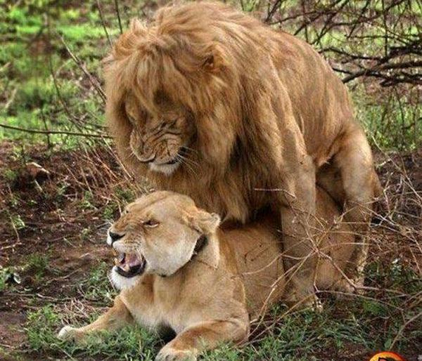 عکس های رضا فاضلی