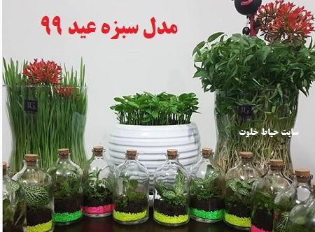 عکس انواع سبزه عید
