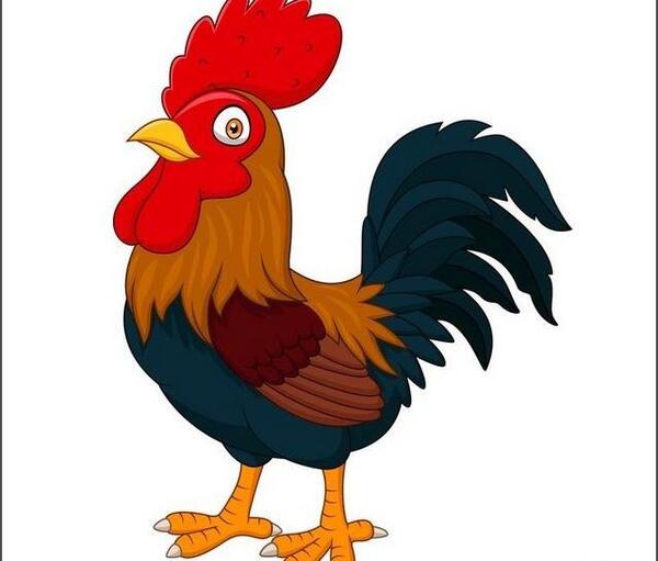عکس نقاشی صورت خروس