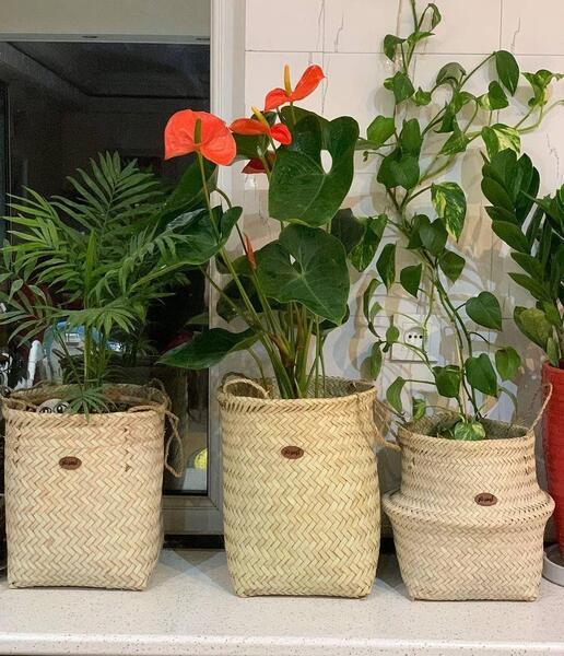 عکس ایده های حصیری