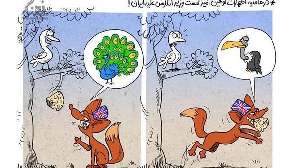 عکس روباه پیر انگلیس