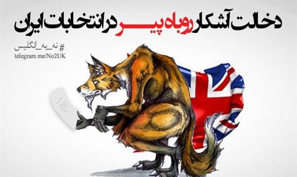 عکس روباه پیر انگلیس