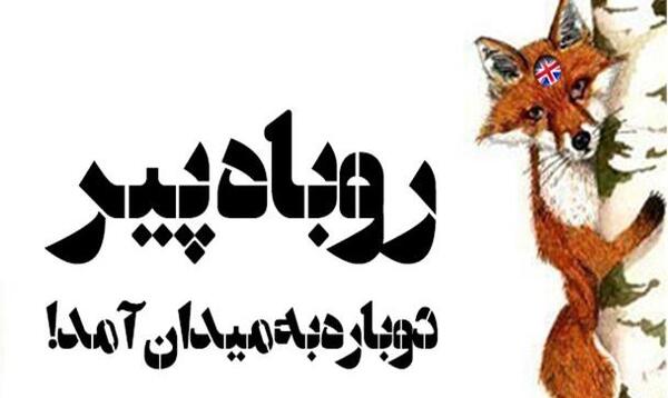 عکس روباه پیر انگلیس