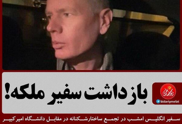 عکس روباه پیر انگلیس