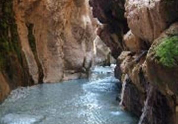 عکس کتاب چشمه های بهشت
