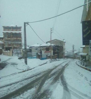 عکس پاییز جواهرده