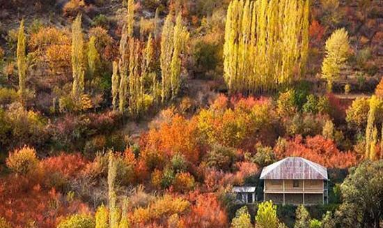 عکس پاییز آهار