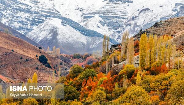 عکس پاییز آهار