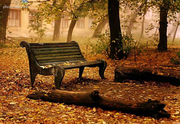 عکس های خالی زیبا