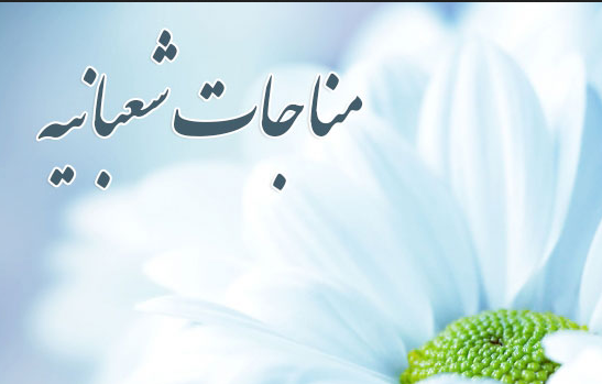 عکس و تصوير منتجات