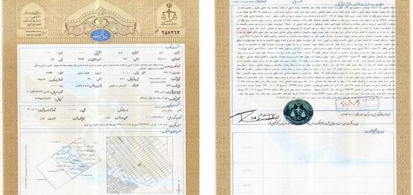 عکس خام سند تک برگ
