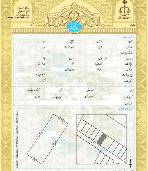 عکس خام سند تک برگ