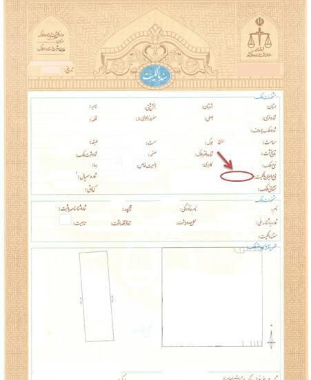 عکس خام سند تک برگ