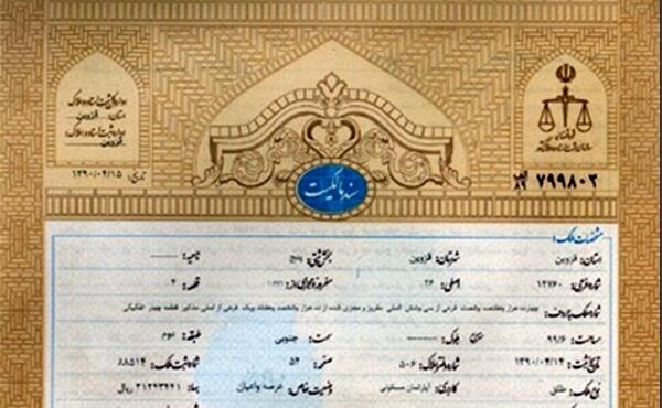 عکس خام سند تک برگ