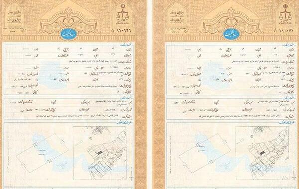 عکس خام سند تک برگ