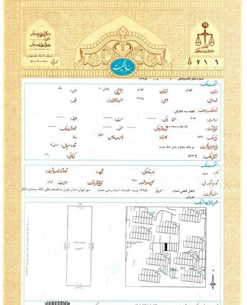 عکس خام سند تک برگ