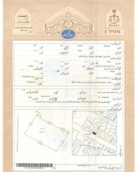 عکس خام سند تک برگ