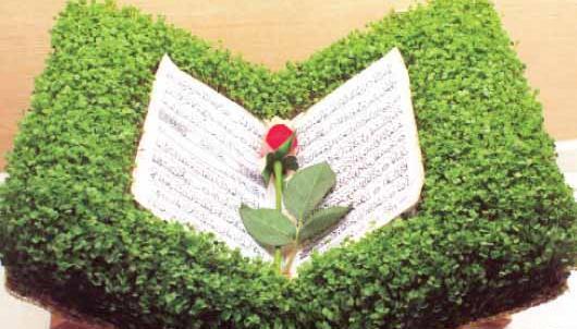 عکس سبزه با خاک ژله ای
