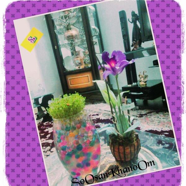 عکس سبزه با خاک ژله ای