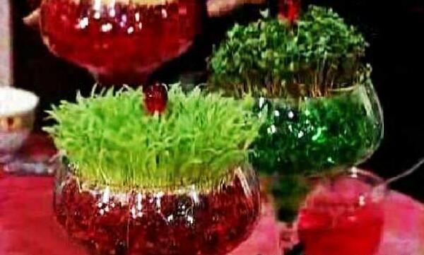 عکس سبزه با خاک ژله ای