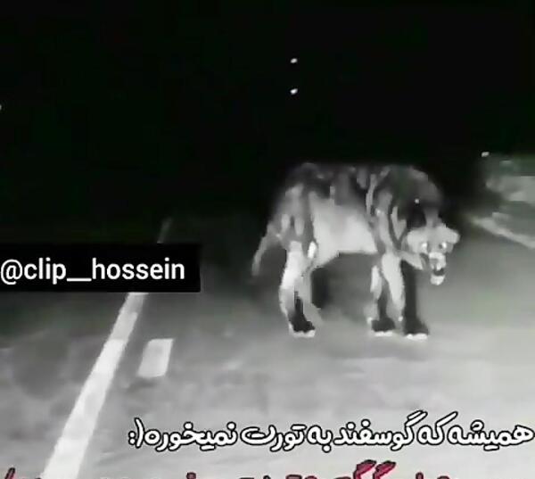 عکس برای وضعیت واتساپ نامردی