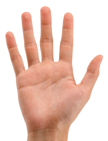 عکس png دست