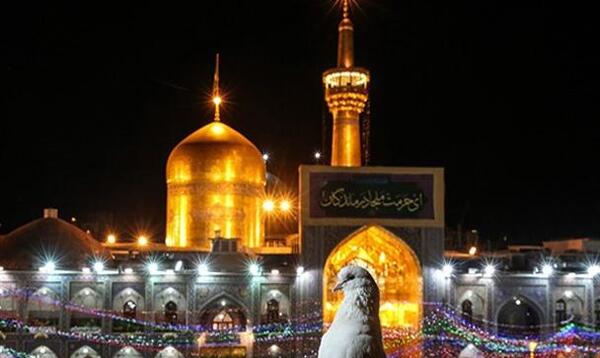 عکس حرم امام رضا تار