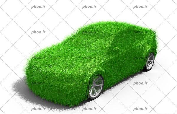 عکس با کیفیت چمنزار