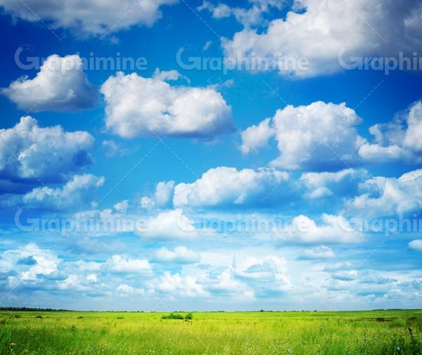 عکس با کیفیت چمنزار