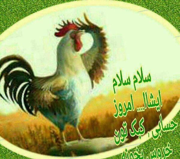 عکس صبح بخیر پرندگان