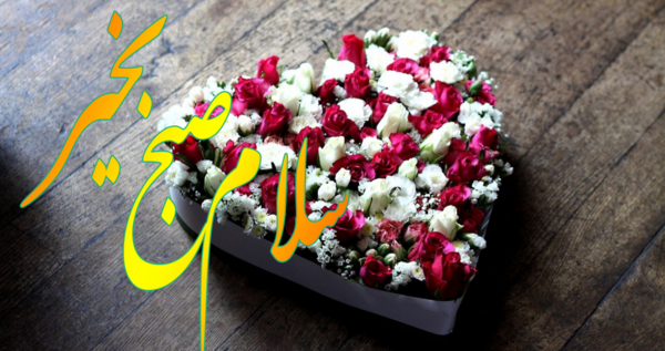 عکس صبح بخیر پرندگان