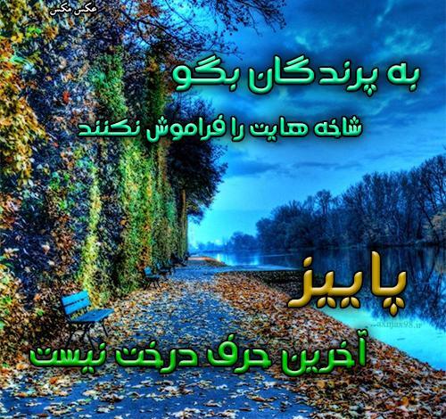 عکس نوشته پاییز آخرین حرف درخت نیست