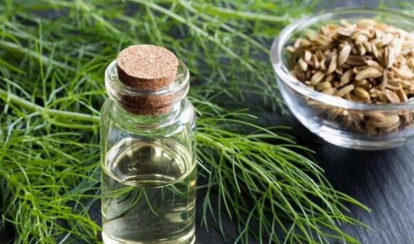 عکس روغن رازیانه اصل