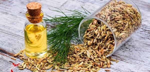 عکس روغن رازیانه اصل