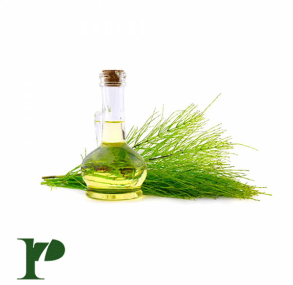 عکس روغن رازیانه اصل