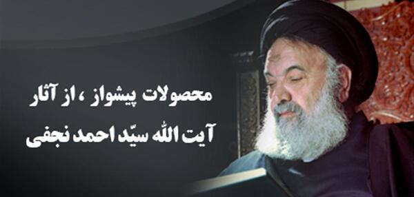 عکس آیت الله سید احمد نجفی