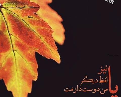 عکس نوشته پاییزی