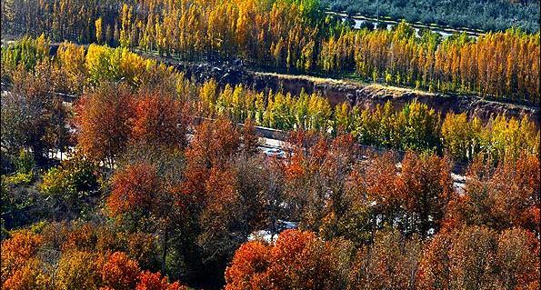 عکس زیبا از پاییز شیراز
