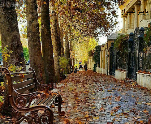 عکس زیبا از پاییز شیراز