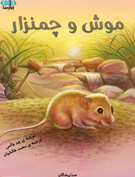 عکس موش نشسته