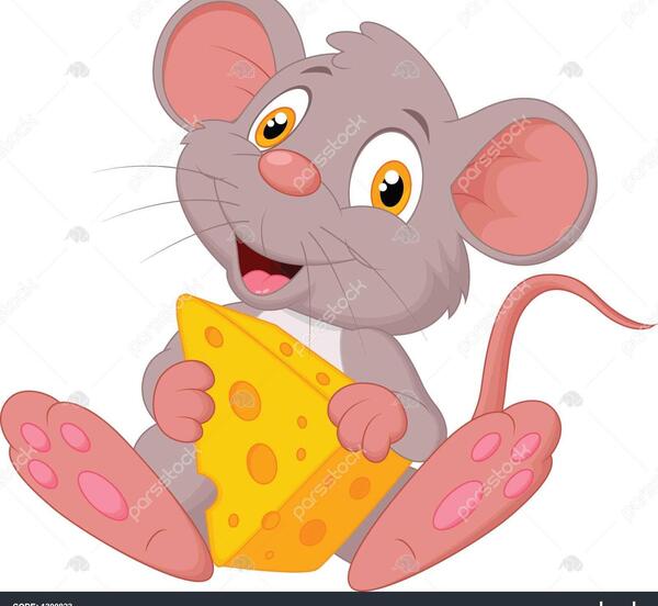 عکس موش نشسته