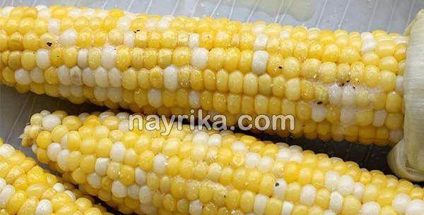 عکس گیاه ذرت مکزیکی
