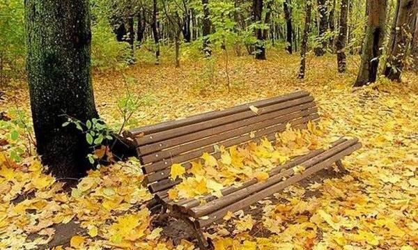عکس نیمکت خالی