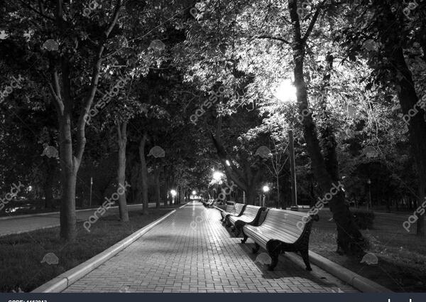 عکس نیمکت خالی