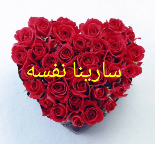 عکس روز دختر اسم سارینا