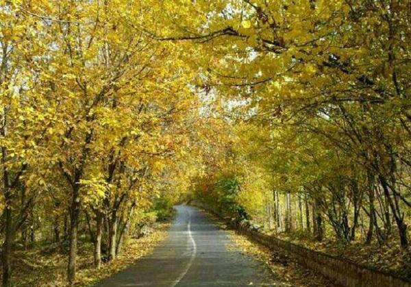 عکس پاییز مریوان