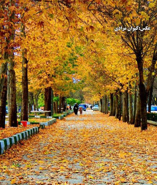 عکس پاییز مریوان