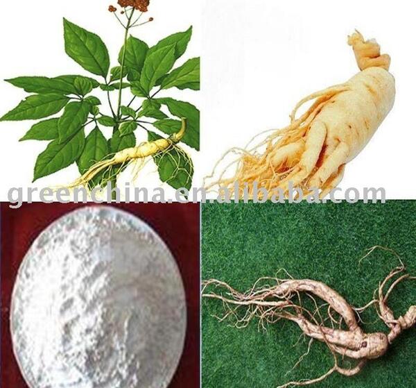 عکس گیاه جین جیلین