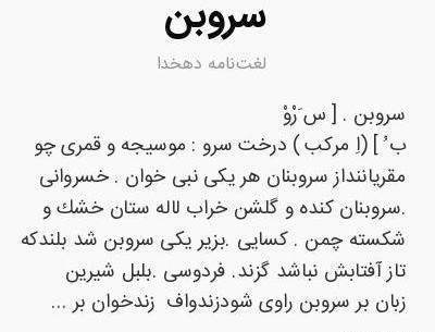 عکس درخت بیدبن