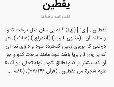 عکس درخت بیدبن